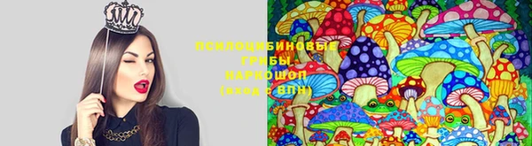 стафф Нягань
