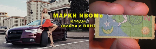 тгк Няндома