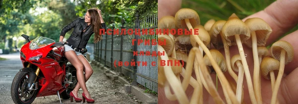 стафф Нягань