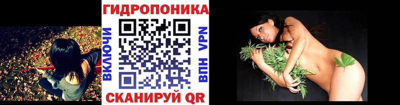 blacksprut зеркало  Уварово  Каннабис сатива  продажа наркотиков 